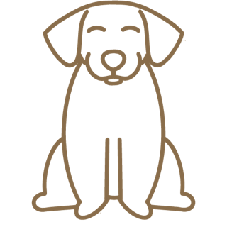 Chien