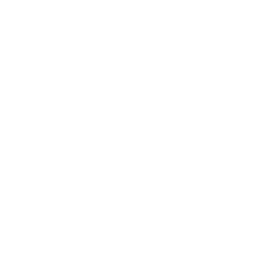 Logo Domaine Ribiera