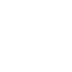 Logo Domaine Ribiera
